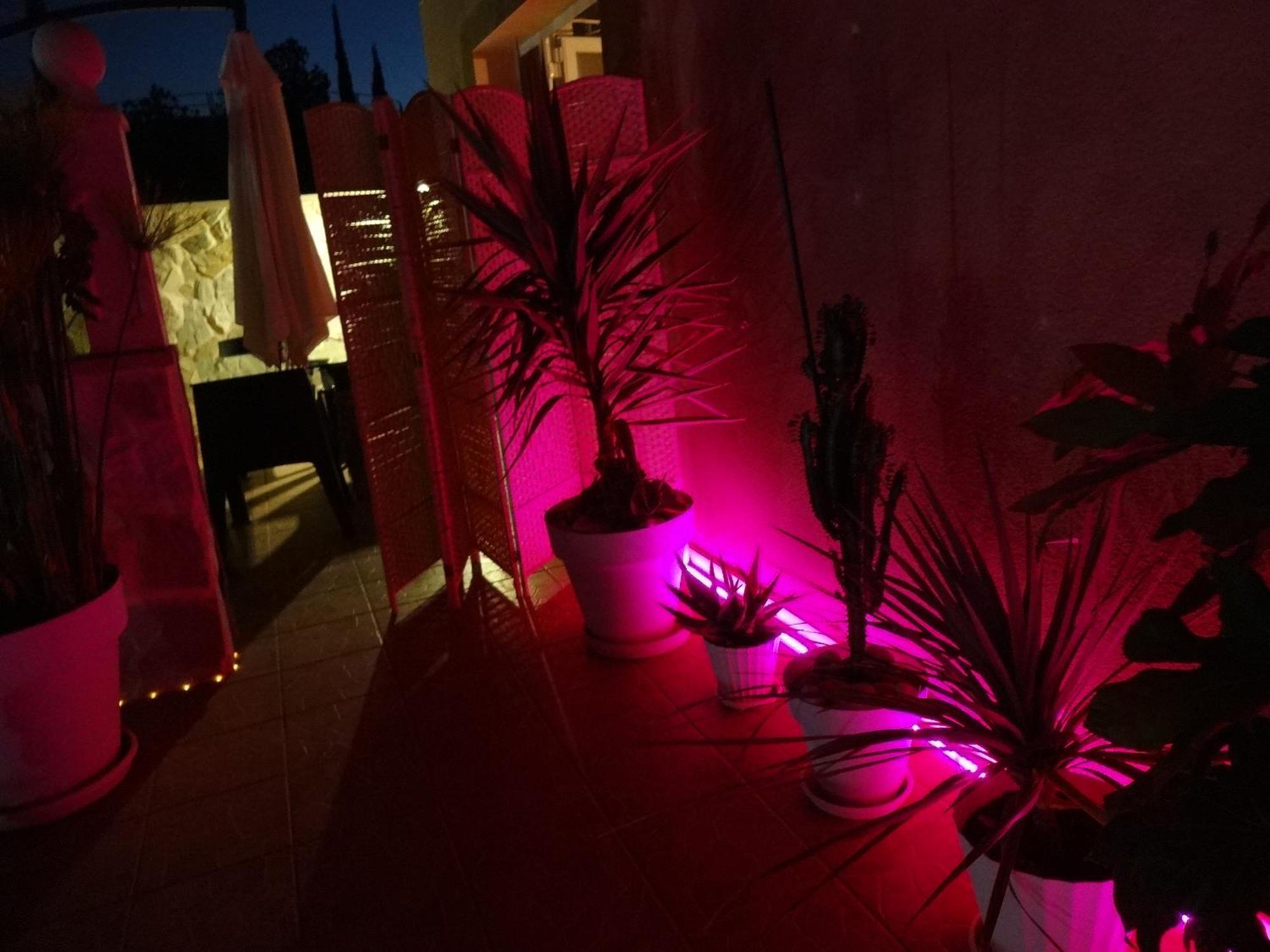 Las Palomas, Appartement 3 Chambres Avec Piscine Turís Exteriör bild